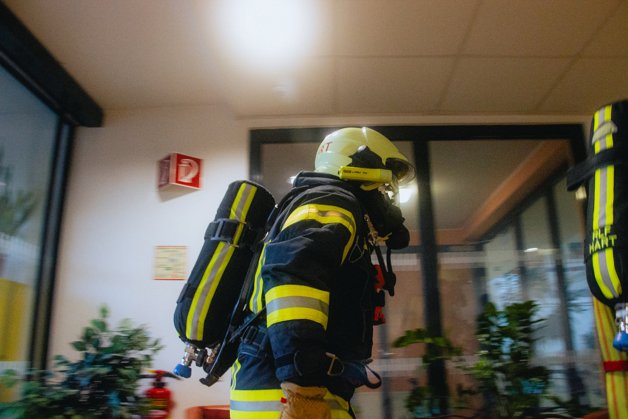 Bild 66